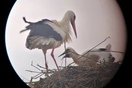 Mal ganz aus der Nähe betrachtet